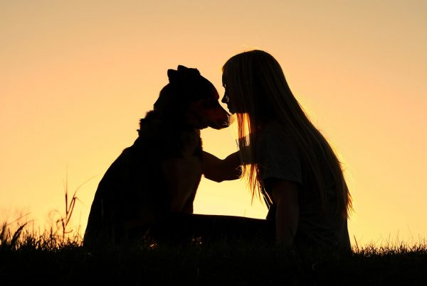 Pourquoi 1001 Âmes Animales ?